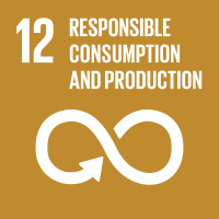 TheGlobalGoals_Icons_Color_Goal_12 TheGlobalGoals_Icons_Color_Goal_12