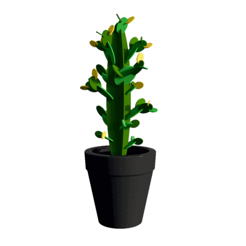 Vaas met cactus