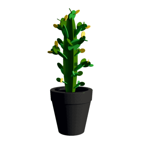 Vaas met cactus Vaas met cactus